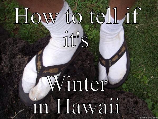 HOW TO TELL IF IT'S WINTER IN HAWAII Misc