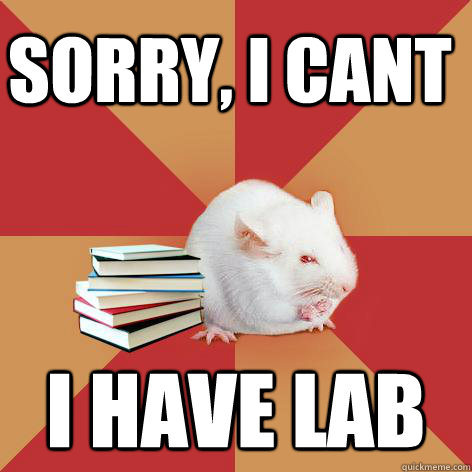 Sorry, I cant I have lab  Science Major Mouse