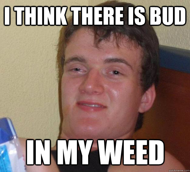 I think there is bud in my weed  10 Guy