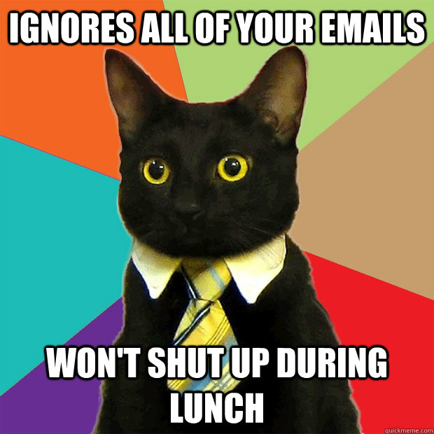 ignores all of your emails won't shut up during lunch  Business Cat