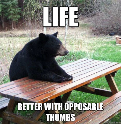 Life better with opposable thumbs  waiting bear