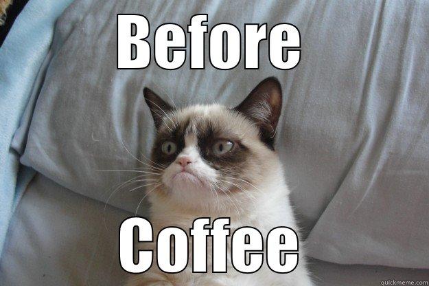 Before Coffee - BEFORE COFFEE Grumpy Cat