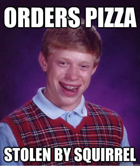 Orders Pizza stolen by squirrel  Bad Luck Brian