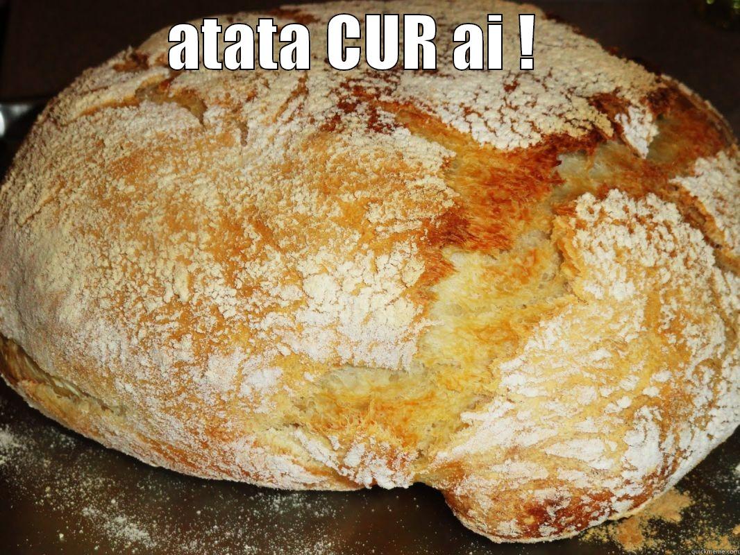 ATATA CUR AI !    Misc