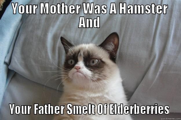 Grumpy Elderberries - YOUR MOTHER WAS A HAMSTER AND YOUR FATHER SMELT OF ELDERBERRIES Grumpy Cat