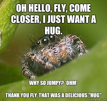 Oh hello, fly, come closer, I just want a hug. Why so jumpy? *OHM*

Thank you fly, that was a delicious 