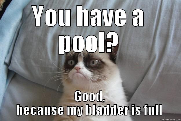 YOU HAVE A POOL? GOOD, BECAUSE MY BLADDER IS FULL Grumpy Cat