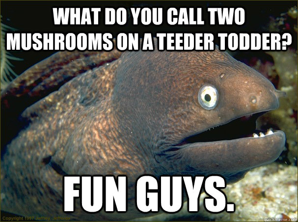 what do you call two mushrooms on a teeder todder? fun guys.  Bad Joke Eel