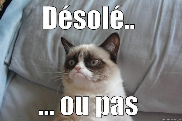 DÉSOLÉ.. ... OU PAS Grumpy Cat