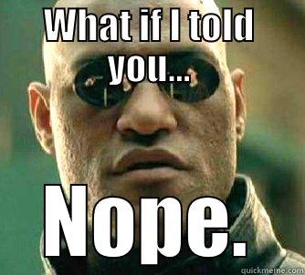 WHAT IF I TOLD YOU... NOPE. Matrix Morpheus