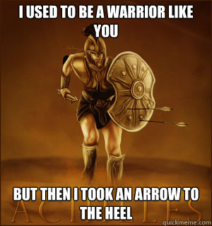 i used to be a warrior like you but then i took an arrow to the heel  