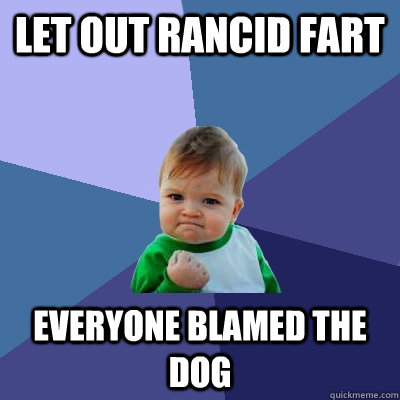 Let out rancid fart Everyone blamed the dog  Success Kid