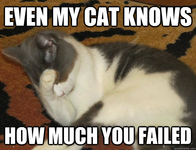 Even my cat knows how much you failed - Even my cat knows how much you failed  Facepalmcat