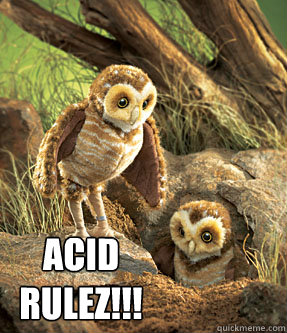 Acid 
Rulez!!!  High Owls