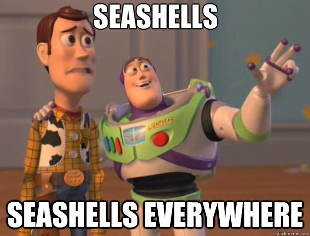 seashells seashells everywhere  Toy Story