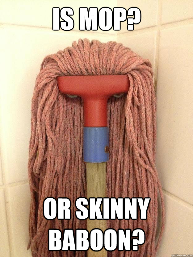 is mop? or skinny baboon?  Insanity Mop