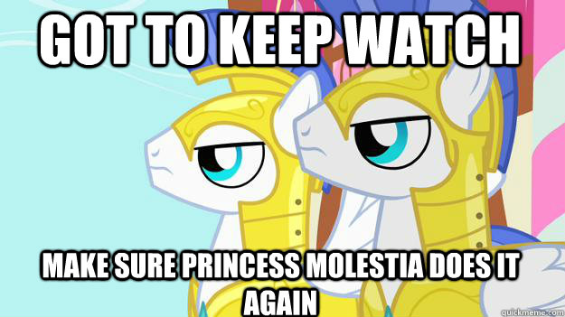 got to keep watch make sure princess molestia does it again  MLP FIM guards