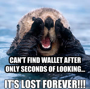 Can't find Wallet AFTER ONLY SECONDS OF LOOKING... It'S LOST FOREVER!!!  Surprised Otter