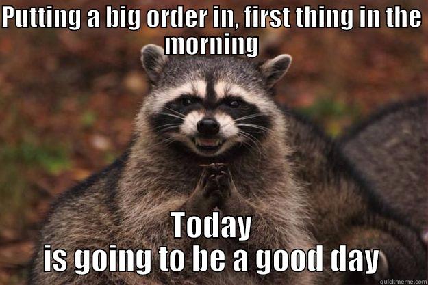 PUTTING A BIG ORDER IN, FIRST THING IN THE MORNING TODAY IS GOING TO BE A GOOD DAY Evil Plotting Raccoon