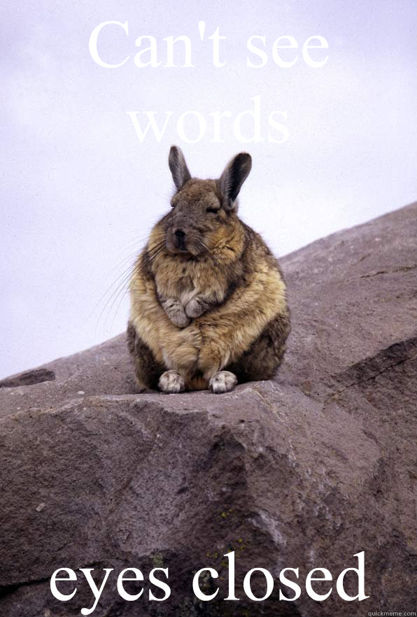 Can't see words eyes closed  Wise Wondering Viscacha