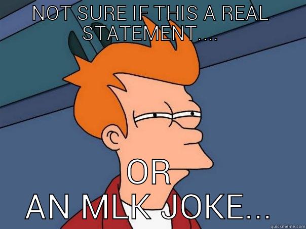 NOT SURE IF THIS A REAL STATEMENT.... OR AN MLK JOKE... Futurama Fry