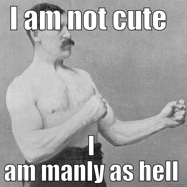 I AM NOT CUTE  I AM MANLY AS HELL overly manly man