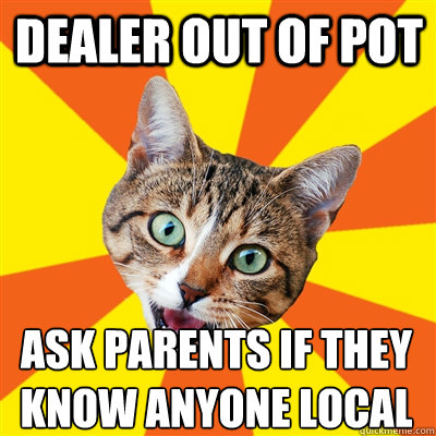 dealer out of pot ask parents if they know anyone local  Bad Advice Cat