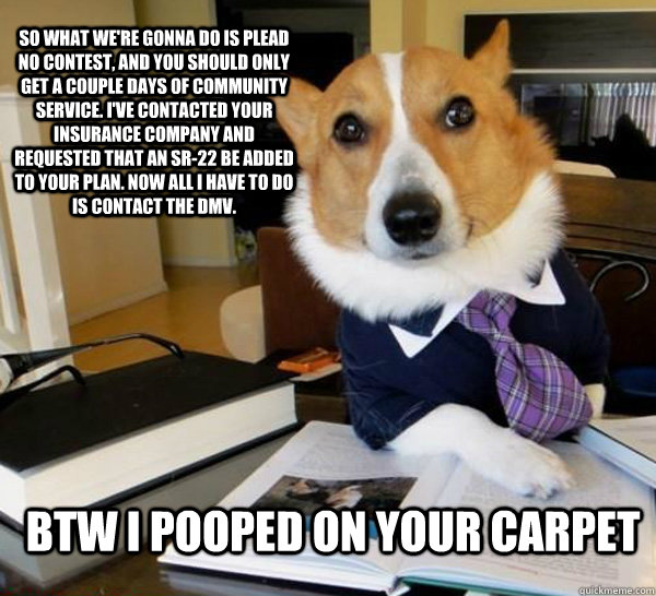 So what we're gonna do is plead no contest, and you should only get a couple days of community service. I've contacted your insurance company and requested that an SR-22 be added to your plan. Now all I have to do is contact the dmv. btw i pooped on your   Lawyer Dog