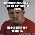 Toilet flows over. Mario & Luigi are busy princess saving. no plumber for Jakucha  