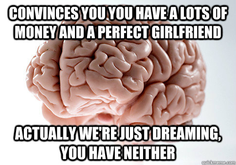 convinces you you have a lots of money and a perfect girlfriend actually we're just dreaming, you have neither  Scumbag Brain