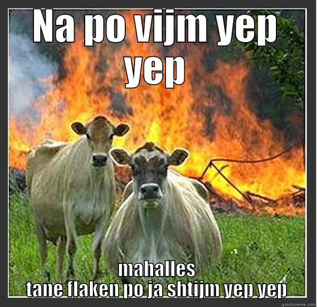 NA PO VIJM YEP YEP MAHALLES TANE FLAKEN PO JA SHTIJM YEP YEP Evil cows