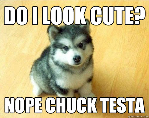 Do I look cute? Nope chuck testa  Baby Courage Wolf