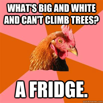 what's big and white and can't climb trees? a fridge. - what's big and white and can't climb trees? a fridge.  Anti-Joke Chicken