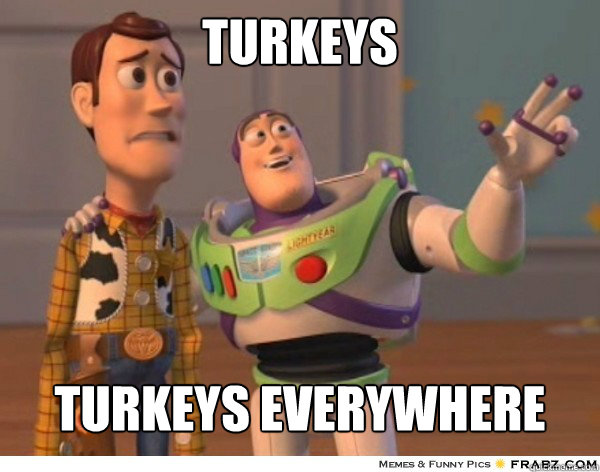 Turkeys  Turkeys everywhere  Buzzlightyear