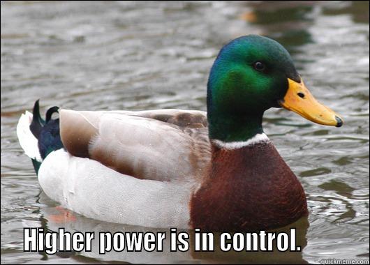   HIGHER POWER IS IN CONTROL.           Actual Advice Mallard