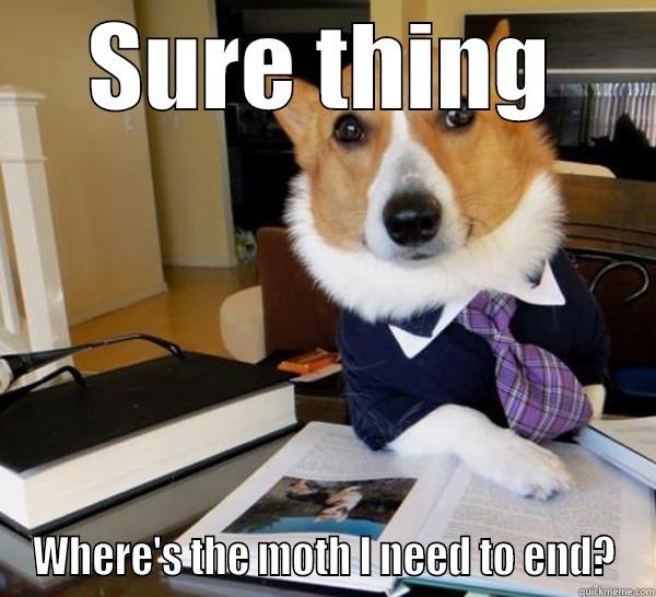 SURE THING WHERE'S THE MOTH I NEED TO END? Lawyer Dog