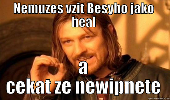 NEMUZES VZIT BESYHO JAKO HEAL A CEKAT ZE NEWIPNETE Boromir