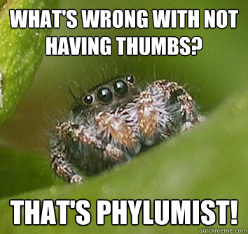 What's wrong with not having thumbs? That's phylumist!  Misunderstood Spider