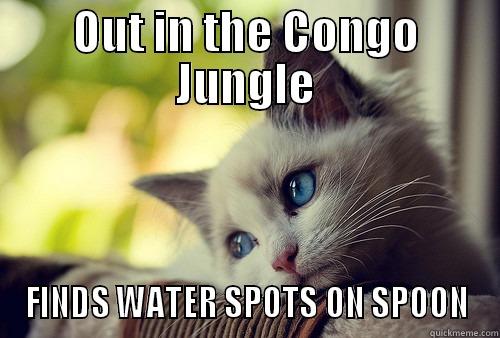 OUT IN THE CONGO JUNGLE FINDS WATER SPOTS ON SPOON First World Problems Cat