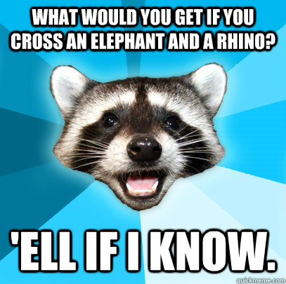 WHAT WOULD YOU GET IF YOU CROSS AN ELEPHANT AND A RHINO? 'ELL IF I KNOW.  Lame Pun Coon