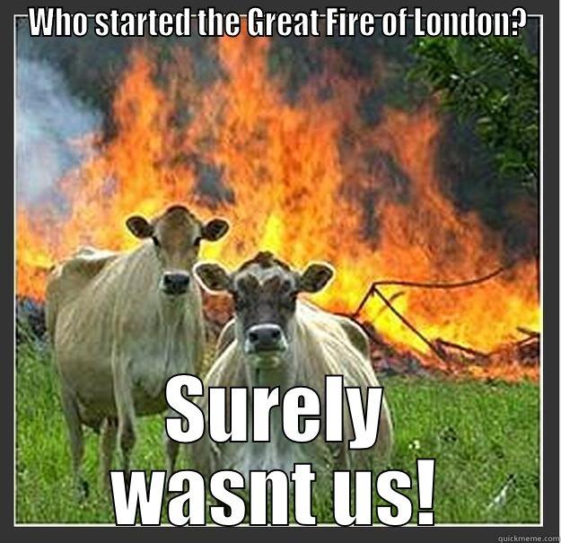 burn burn burn - WHO STARTED THE GREAT FIRE OF LONDON? SURELY WASNT US! Evil cows