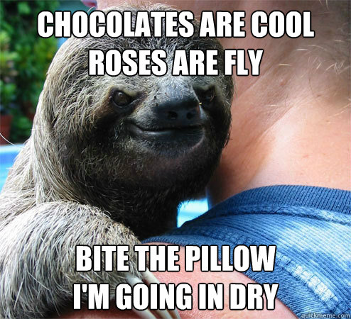 Chocolates are cool
Roses are fly Bite the pillow
I'm going in dry
  Suspiciously Evil Sloth