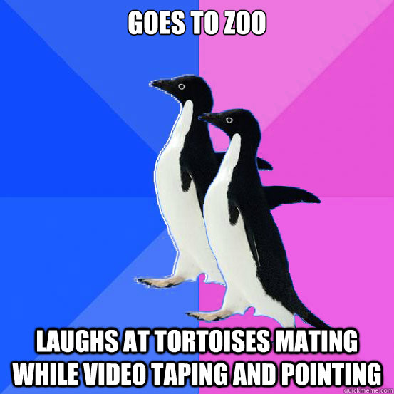 Goes to Zoo Laughs at tortoises mating while video taping and pointing - Goes to Zoo Laughs at tortoises mating while video taping and pointing  Socially Awkward Couple