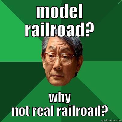 MODEL RAILROAD? WHY NOT REAL RAILROAD? High Expectations Asian Father