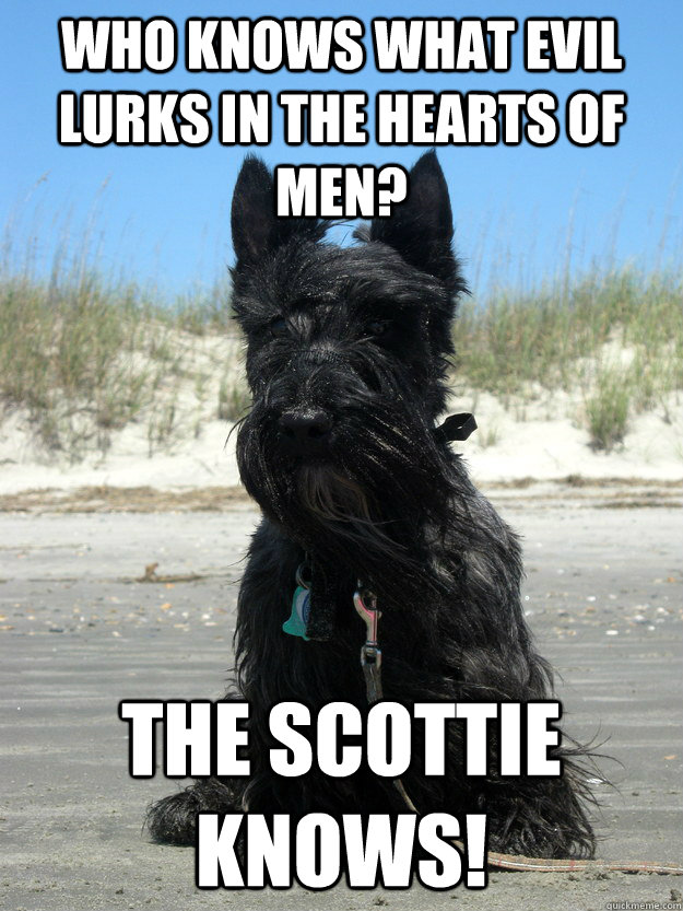 Who knows what evil lurks in the hearts of men? The Scottie Knows!  The Scottie Knows