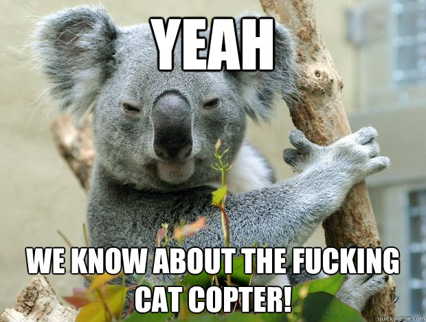 cat copter