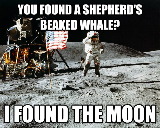 You found a Shepherd's beaked whale? I found the moon  Unimpressed Astronaut