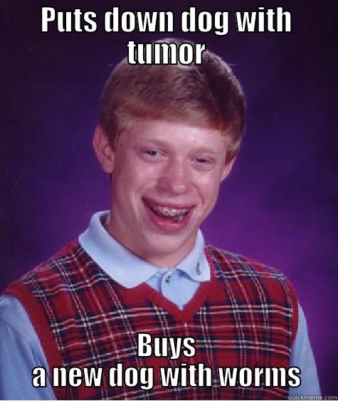 PUTS DOWN DOG WITH TUMOR BUYS A NEW DOG WITH WORMS Bad Luck Brian