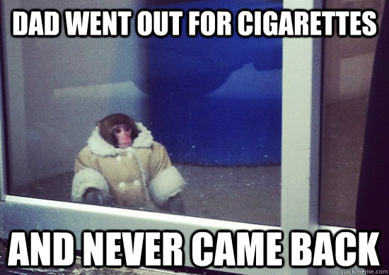 dad went out for cigarettes and never came back  Ikea Monkey