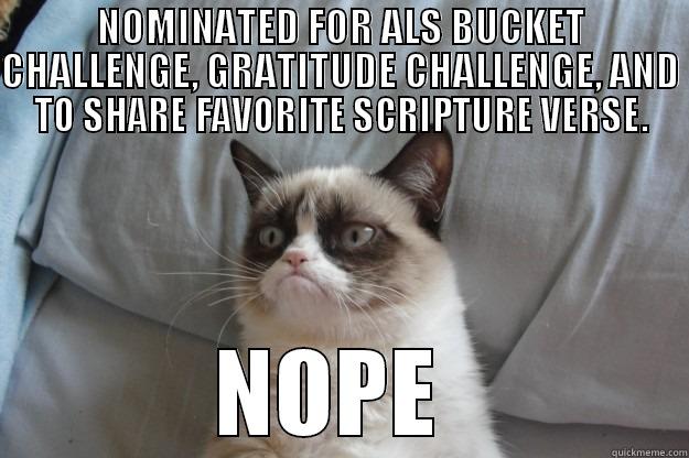 When you nominate me on Facebook - NOMINATED FOR ALS BUCKET CHALLENGE, GRATITUDE CHALLENGE, AND TO SHARE FAVORITE SCRIPTURE VERSE. NOPE  Grumpy Cat